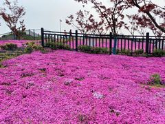 -石塘人家