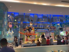 -帝企鹅自助餐厅•儿童岛•真企鹅(长隆企鹅酒店)