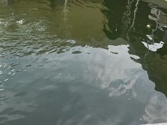 -DGE季风钓虾营地·团建·聚会