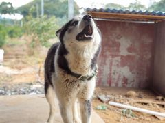 -佛山市三水温泉度假村
