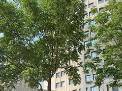 -东北大厦酒店(沈阳北站青年大街店)