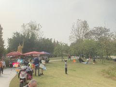 -两河城市森林公园