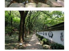 -上海佘山国家森林公园天马山园