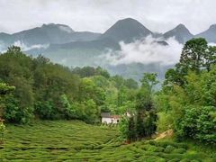 -关山草原