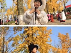 -两江幸福广场