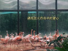 -北京动物园