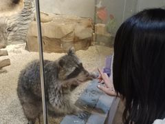 -昆明大悦城未来动物城(螺蛳湾中心店)