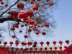 -八大处公园