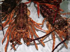 -万龙洲海鲜(大兴绿地缤纷城店)