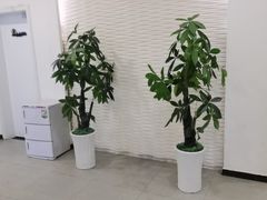 -武氏真功夫(第16店·利群广场店)