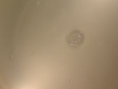 -春晖园度假酒店温泉