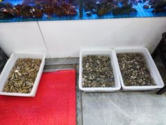 -日照大牌檔•小船海鲜(万平口店)