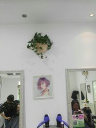 -艺时·漂发·染发·蛋白护理店