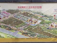 -龙谕酒庄