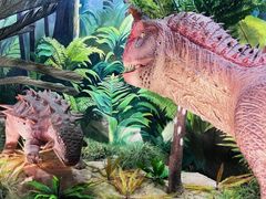 -陕西自然博物馆