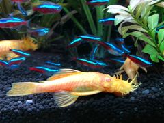 -上海海洋水族馆