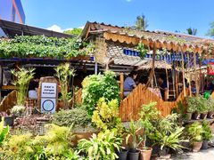-Jungle Kitchen