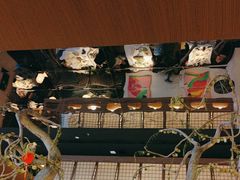 -桂满陇·海市蜃楼·黑金(国金店)