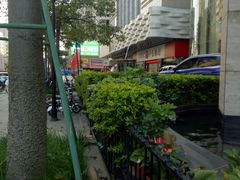 -黄河时装城(虎门店)