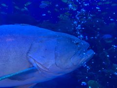 -成都浩海立方海洋公园