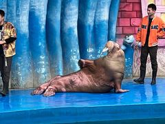 -华夏文旅海洋公园