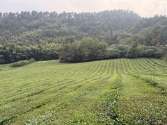 -敬亭山风景名胜区