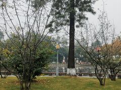 -四川大学(望江校区)