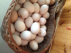 加顺土特产（溧阳板栗合作社）-加顺农场餐厅