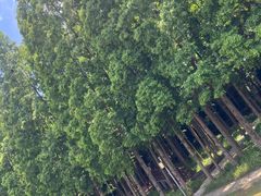 -南京金牛湖风景区