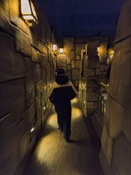 -翱翔飞越地平线