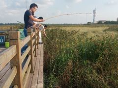 -吴淞炮台湾湿地森林公园烧烤区