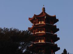 -深圳仙湖植物园