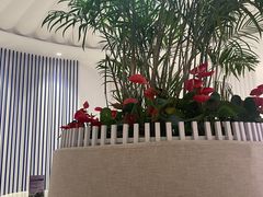 -LANN I 蘭 SPA(陆家嘴中心店)