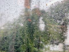 -御龙阁海鲜酒楼