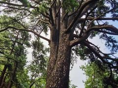 -终南山南五台景区