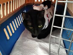 -乖乖乐动物医院(小汤山分院)