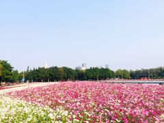 -海心沙亚运公园