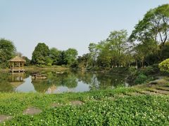 -张坝桂圆林公园