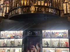-雪灵魔法世界SHELLY’S TAROT(大良桂畔里店)