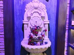 -雪灵魔法世界SHELLY’S TAROT(大良桂畔里店)