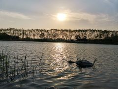 -大兴滨河森林公园