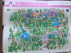 -东平国家森林公园