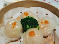 虾饺皇-渔人码头(中南店)