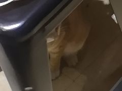 -逃脱反斗城沉浸剧情密室(北京路店)