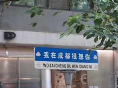 -泡桐树街