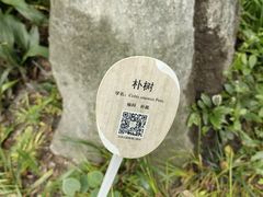 -成都市活水公园