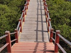 -北海金海湾红树林生态旅游区