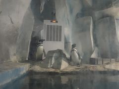 -无锡海洋馆