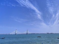 -北海金海湾红树林生态旅游区