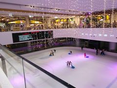 -TheRink大零溜冰场(IFS国金中心店)